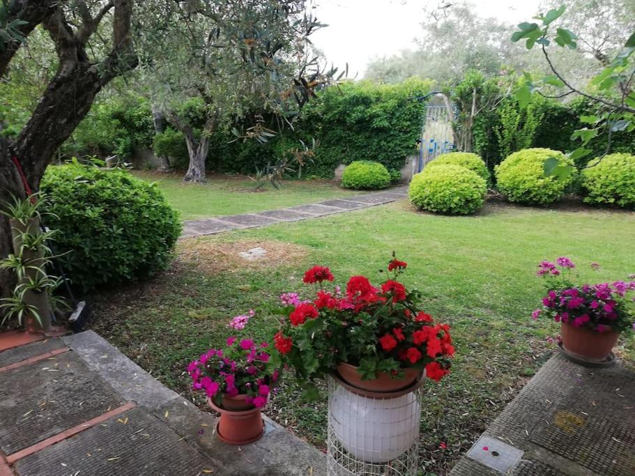 Villa Brezza Capaccio Zewnętrze zdjęcie